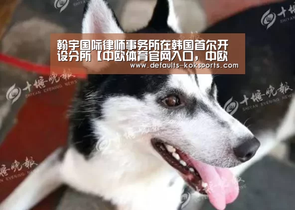 翰宇国际律师事务所在韩国首尔开设分所【中欧体育官网入口,中欧体育官方下载,中欧体育平台】(图3) 中欧体育官网入口,中欧体育官方下载,中欧体育平台