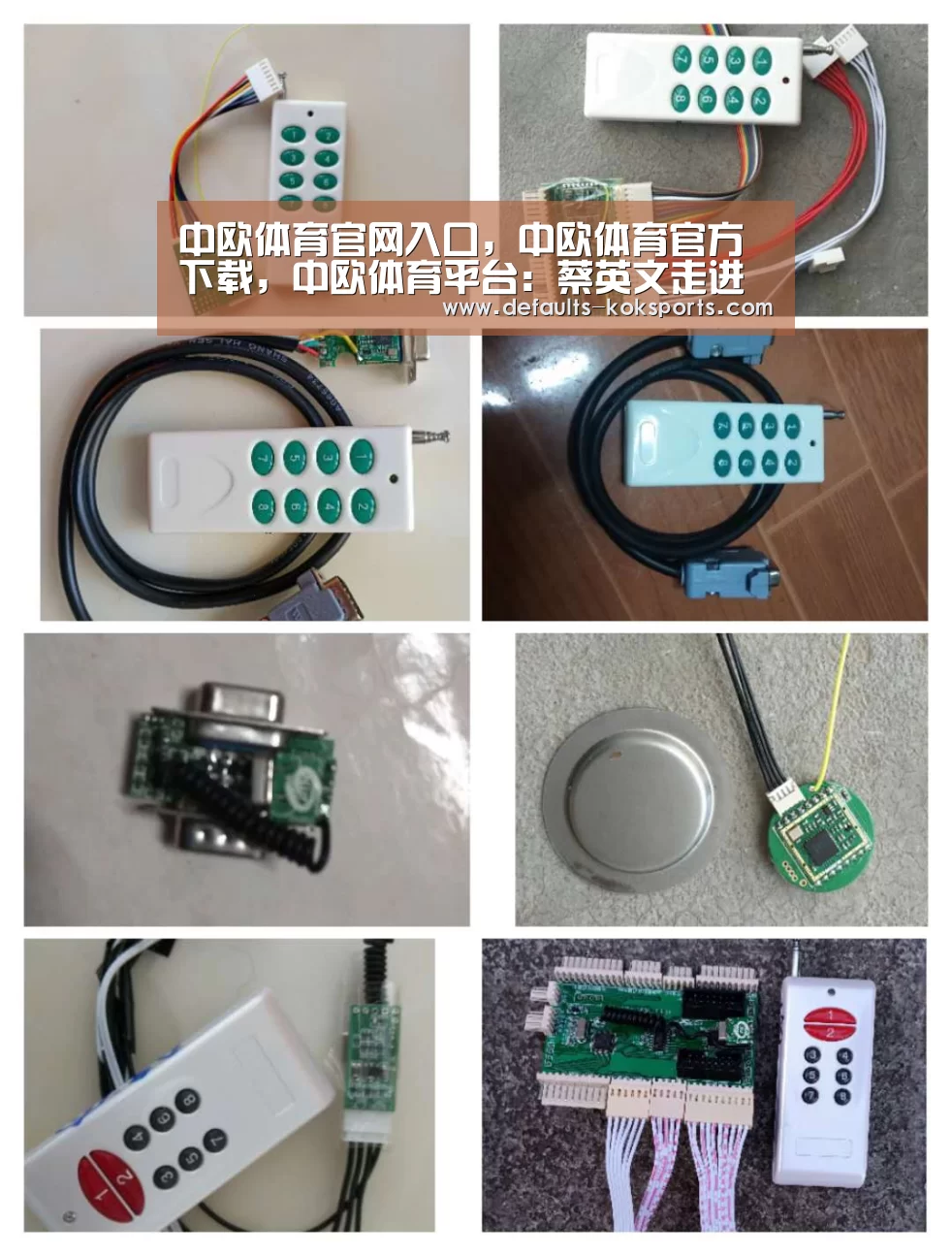 中欧体育官网入口,中欧体育官方下载,中欧体育平台:蔡英文走进会场时(图1) 中欧体育官网入口,中欧体育官方下载,中欧体育平台