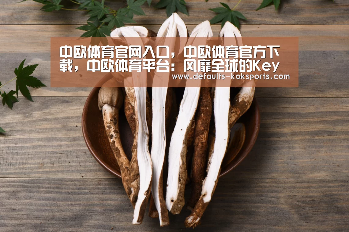 中欧体育官网入口,中欧体育官方下载,中欧体育平台:风靡全球的Key Words系列图书即将登陆中国(图4) 中欧体育官网入口,中欧体育官方下载,中欧体育平台