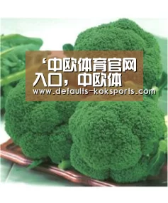 ‘中欧体育官网入口,中欧体育官方下载,中欧体育平台’万万没想到,特朗普突然说这句话,有何深意(图4) 中欧体育官网入口,中欧体育官方下载,中欧体育平台