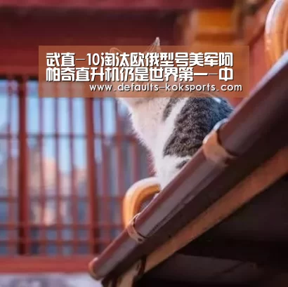 武直-10淘汰欧俄型号美军阿帕奇直升机仍是世界第一-中欧体育官网入口,中欧体育官方下载,中欧体育平台(图2) 中欧体育官网入口,中欧体育官方下载,中欧体育平台