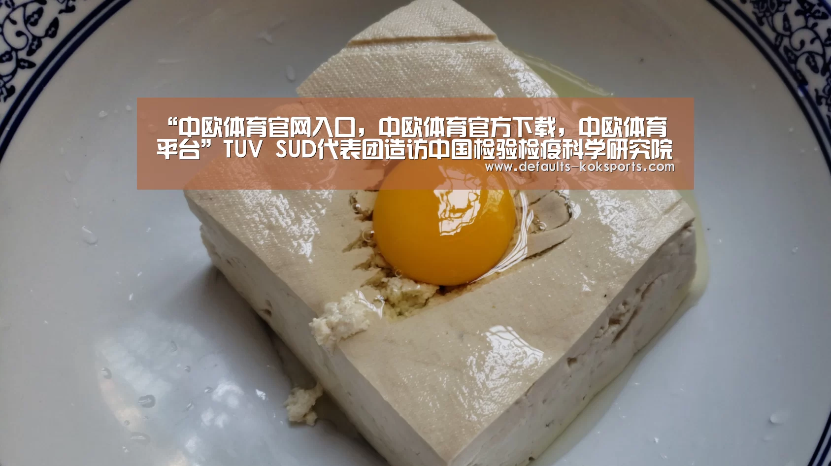 “中欧体育官网入口,中欧体育官方下载,中欧体育平台”TUV SUD代表团造访中国检验检疫科学研究院(图2) 中欧体育官网入口,中欧体育官方下载,中欧体育平台