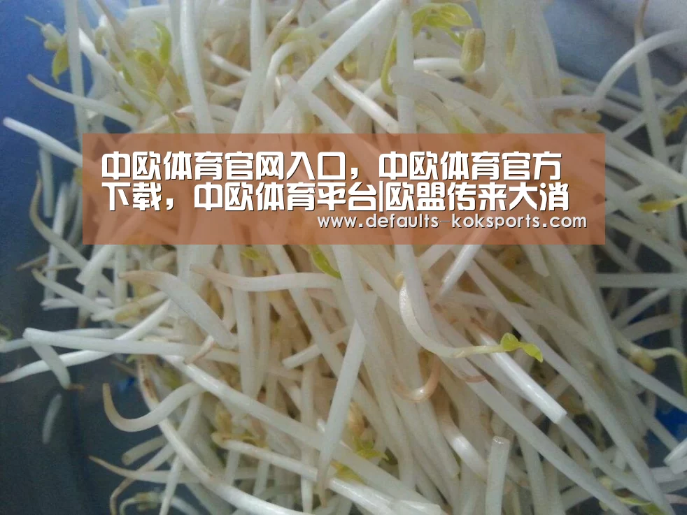 中欧体育官网入口，中欧体育官方下载，中欧体育平台